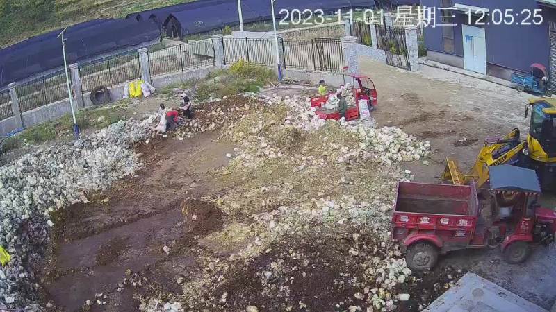 平菇废料，有机肥原料