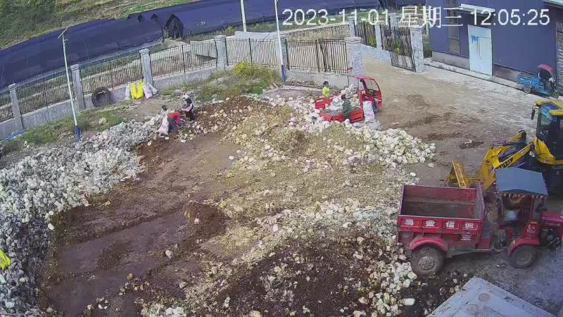 平菇废料，有机肥原料