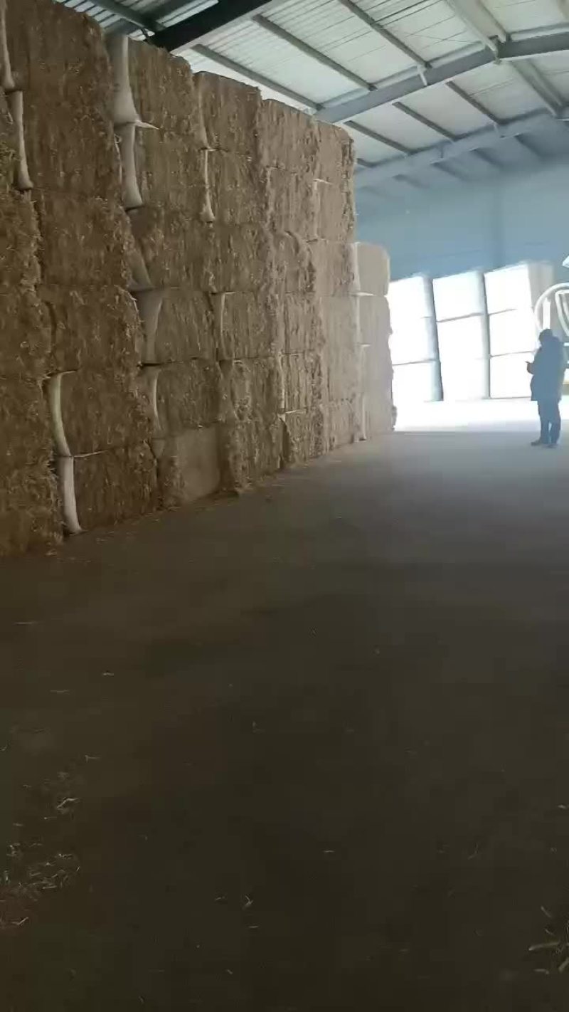 精品秸秆饲草