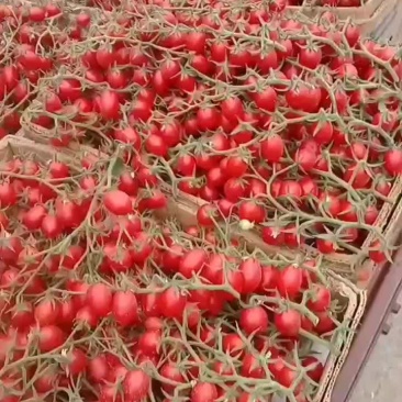情人果