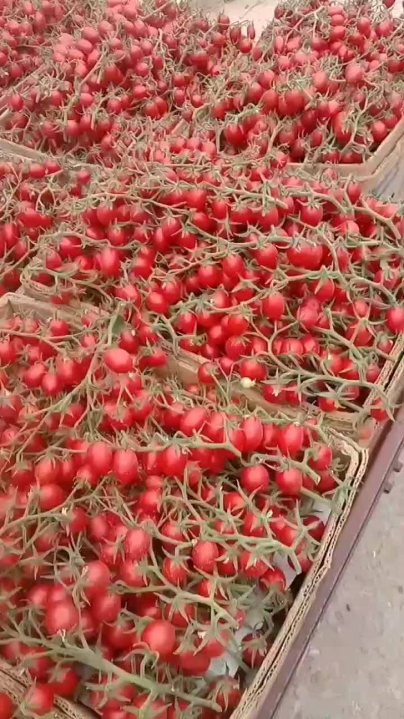 情人果