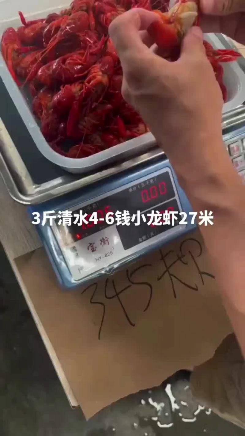 3斤清水4-6钱小龙虾27元，包邮到家，清水小龙虾可以做