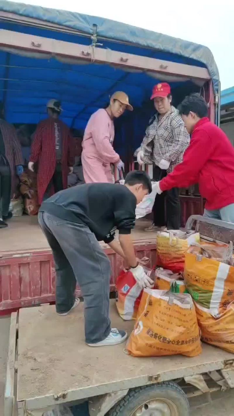 济薯26精品
