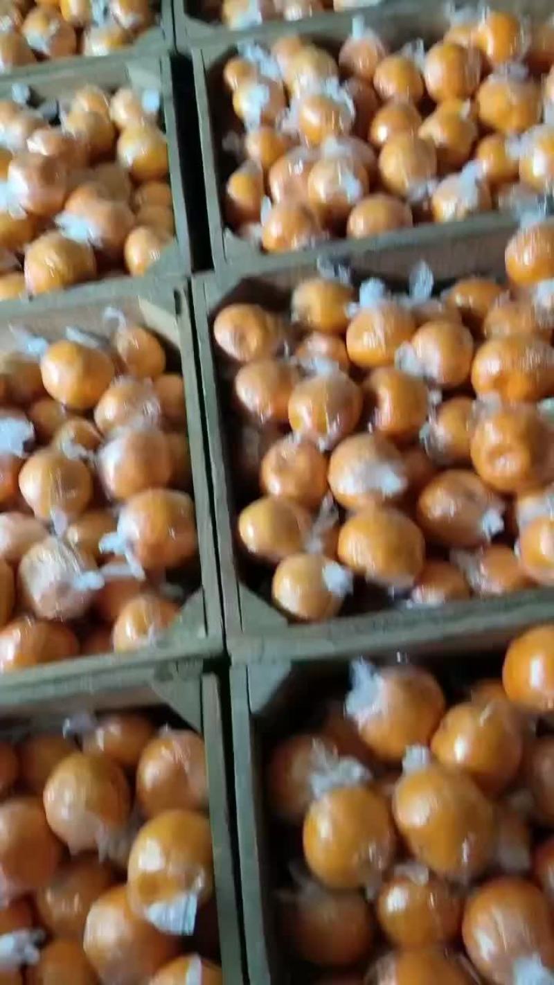 蓬柑，大量供货，质量上乘，价格优，包上车，可提供塑料箱子