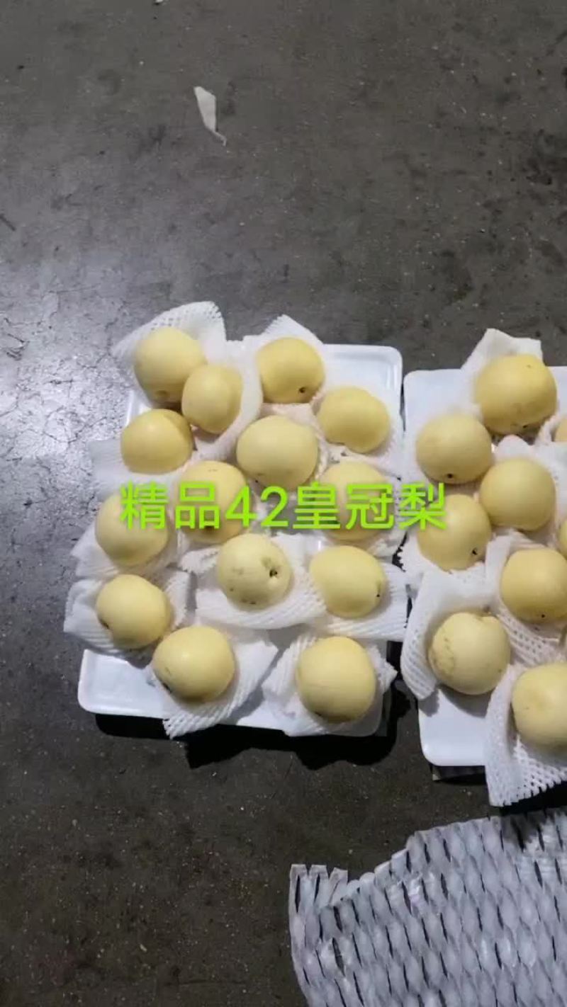河北鸭梨，果面干净，脆甜，汁多