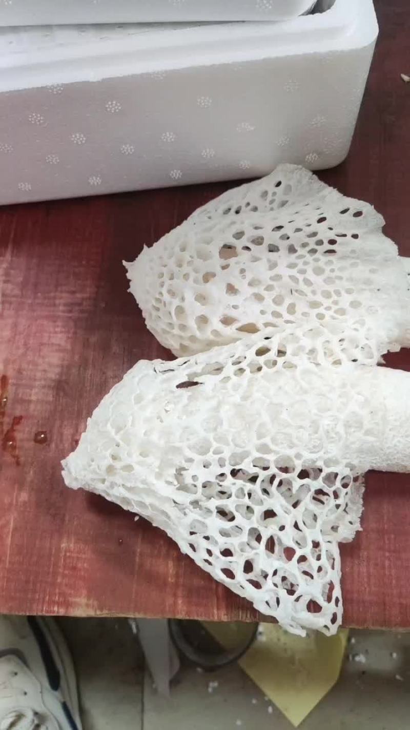 新鲜竹荪
