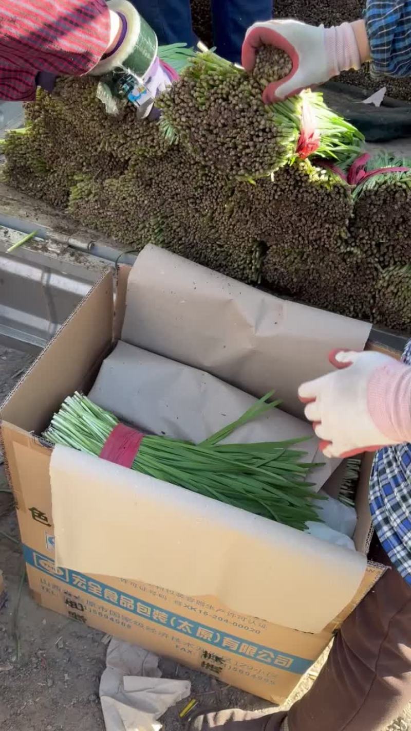 精品菜