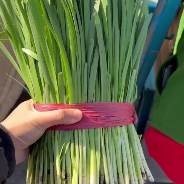 精品菜