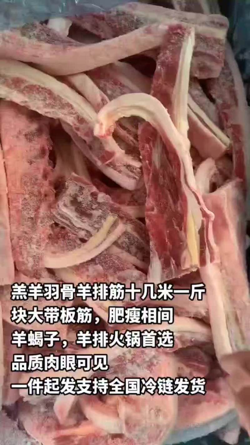 羔羊羽骨羊排筋