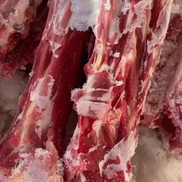 羊蝎子辽宁省海城市昌钰牛羊肉类副食品多肉羊蝎子价格美丽