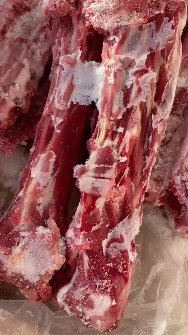 羊蝎子辽宁省海城市昌钰牛羊肉类副食品多肉羊蝎子价格美丽