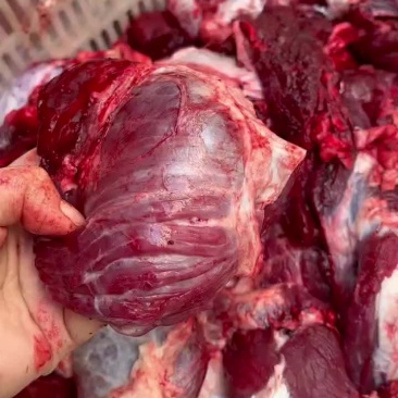 牛肉块