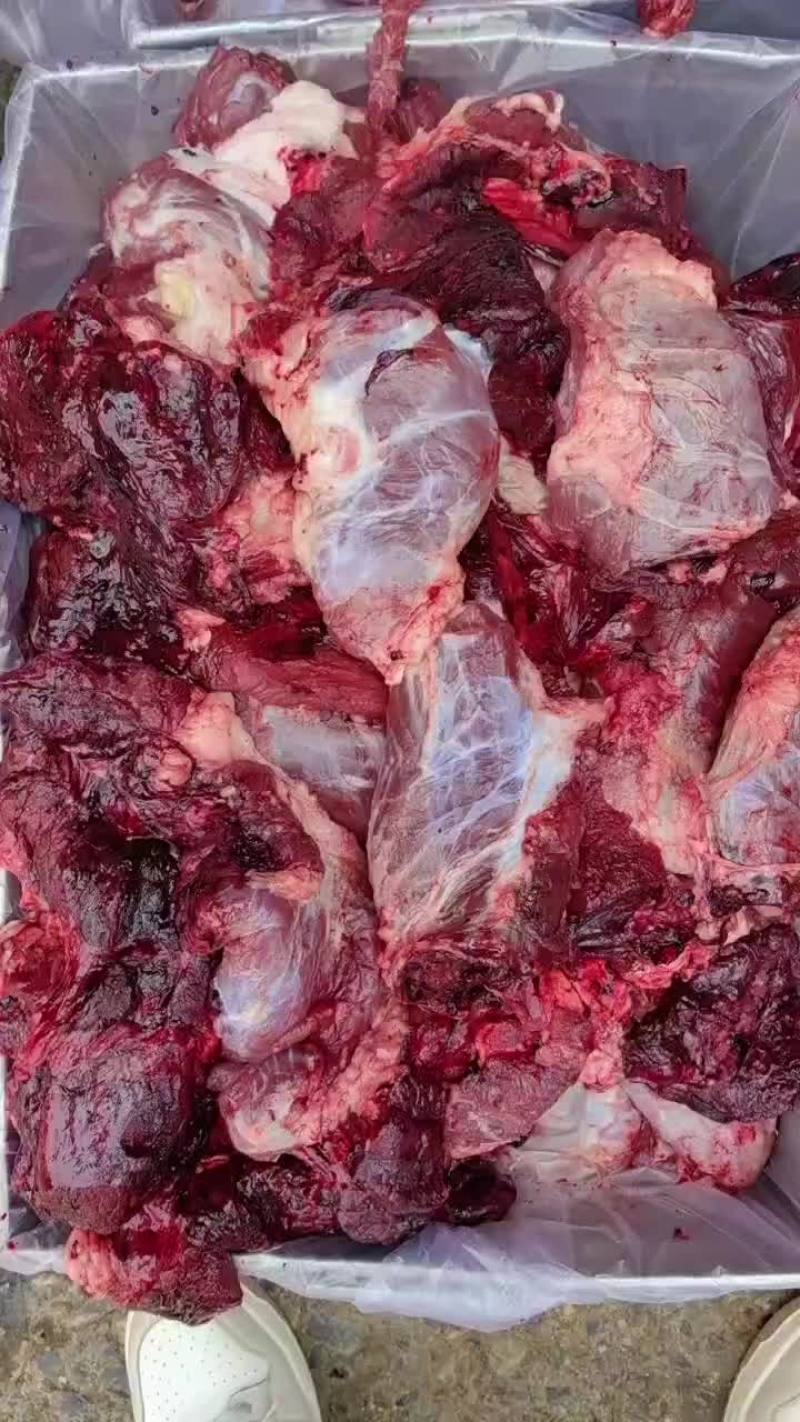 牛肉块