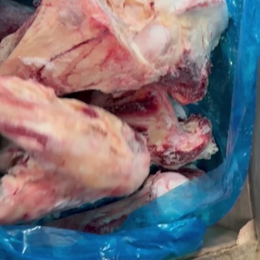 多肉牛腿骨
