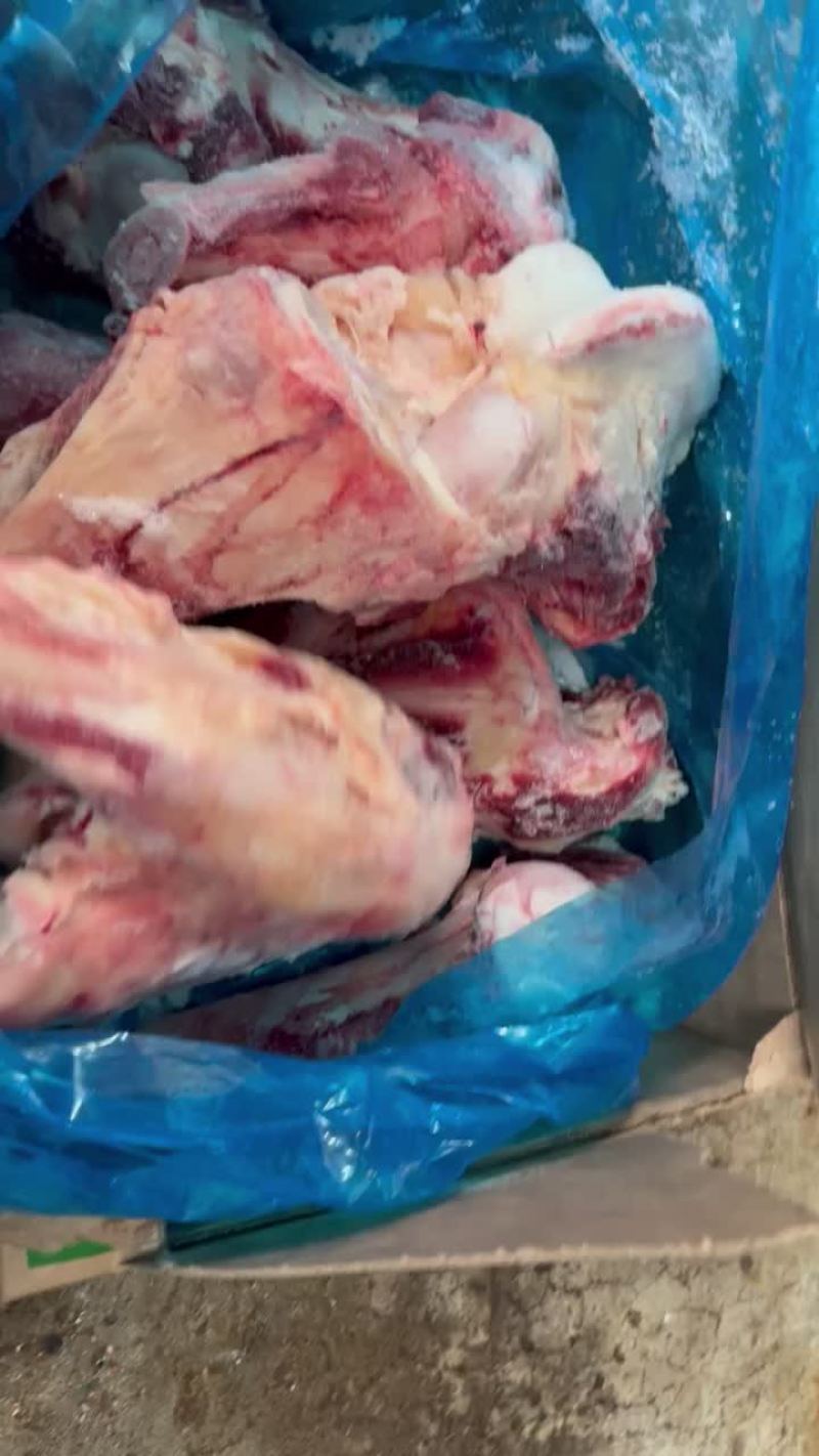 多肉牛腿骨