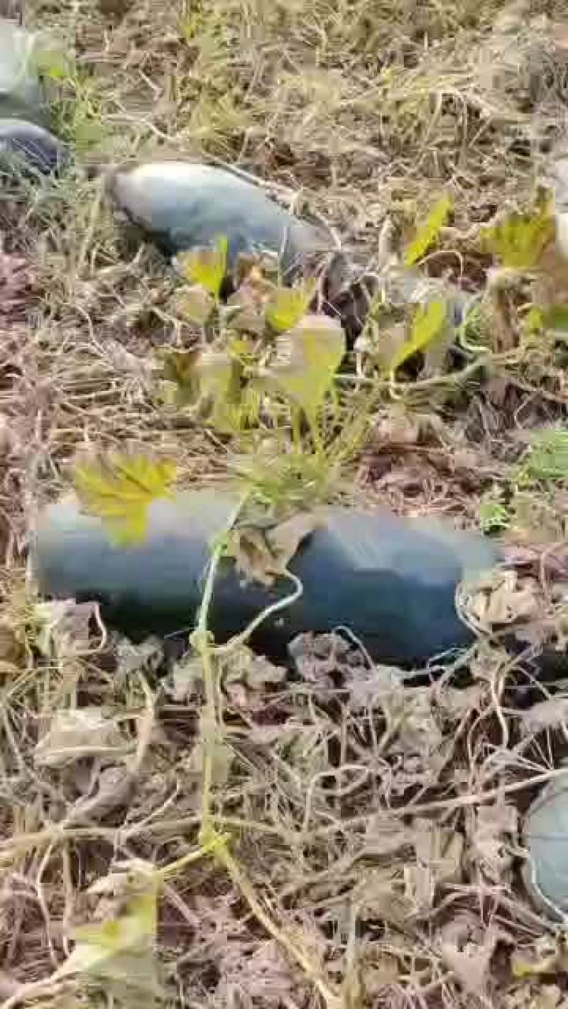 大量有货急出手
