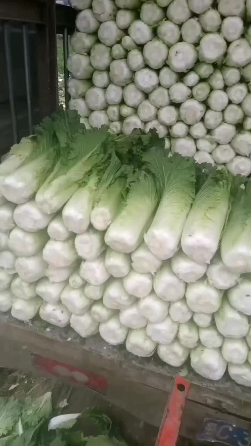 竹筒菜