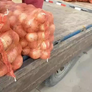 黄洋葱