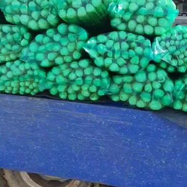 河南商丘夏邑精品西芹大量上市需要联系