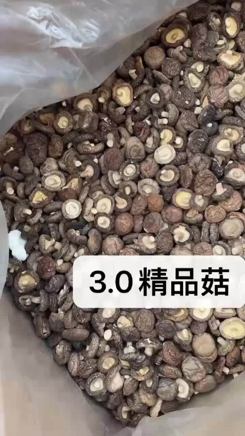 干香菇