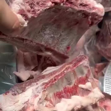 羊排