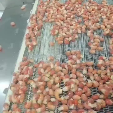 万邦龙虾尾加工厂