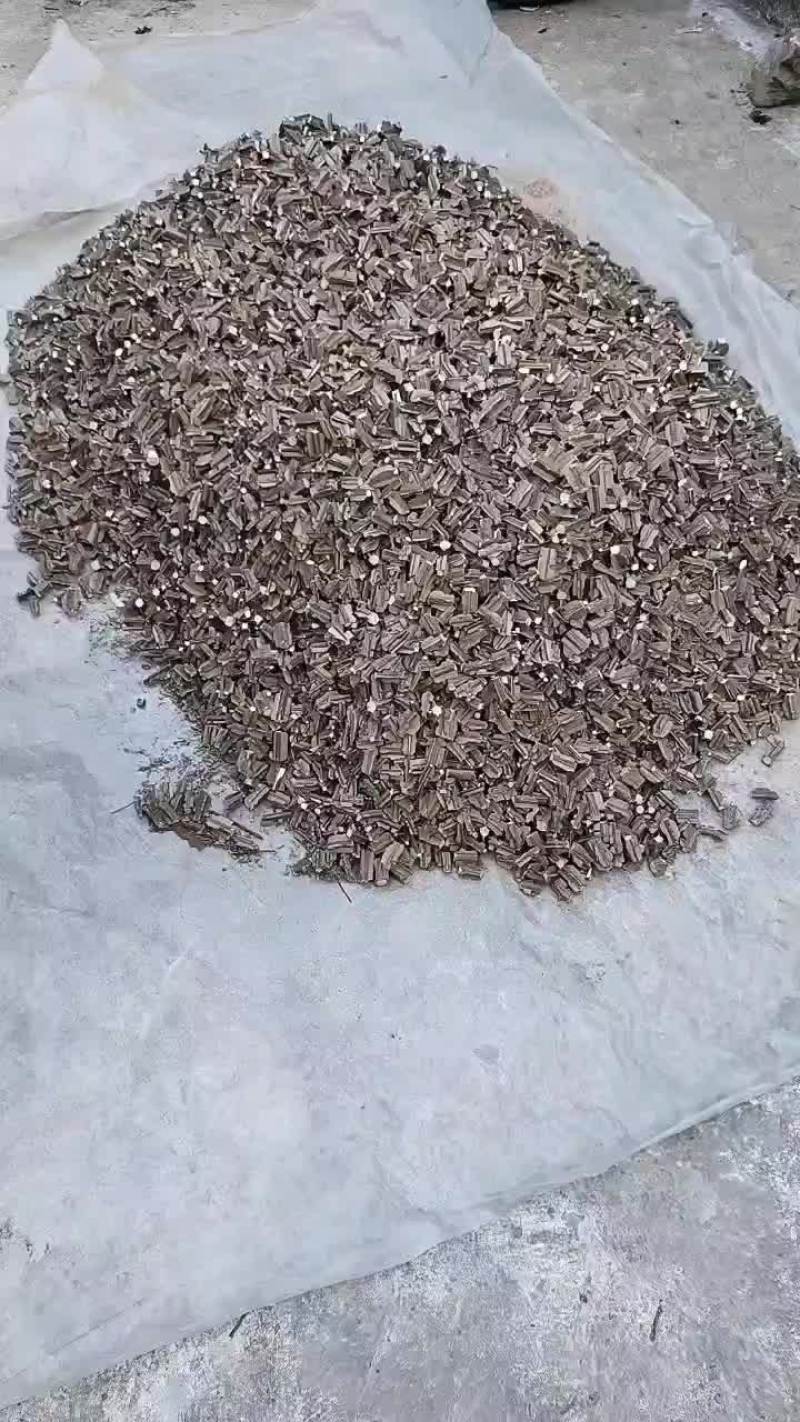 野生鬼箭羽杆