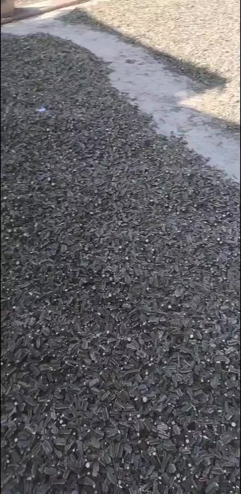 野生鬼箭羽杆