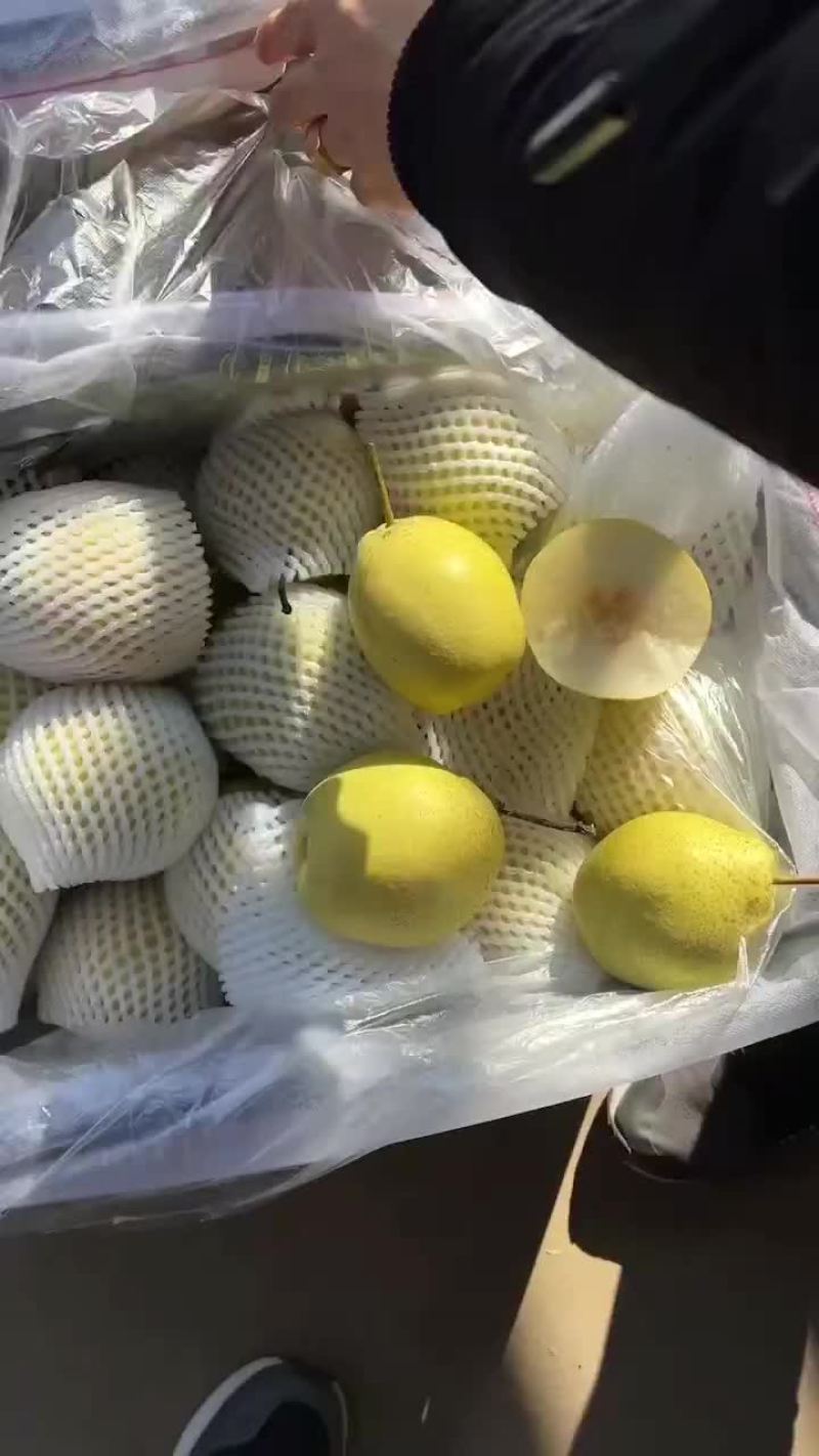 河北，赵县，冰糖雪花梨，果面干净，个头大糖份足。