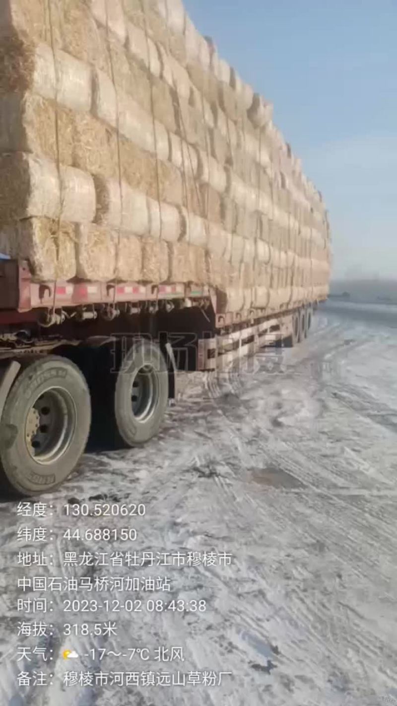 牛羊过冬用玉米秸秆揉丝小方包