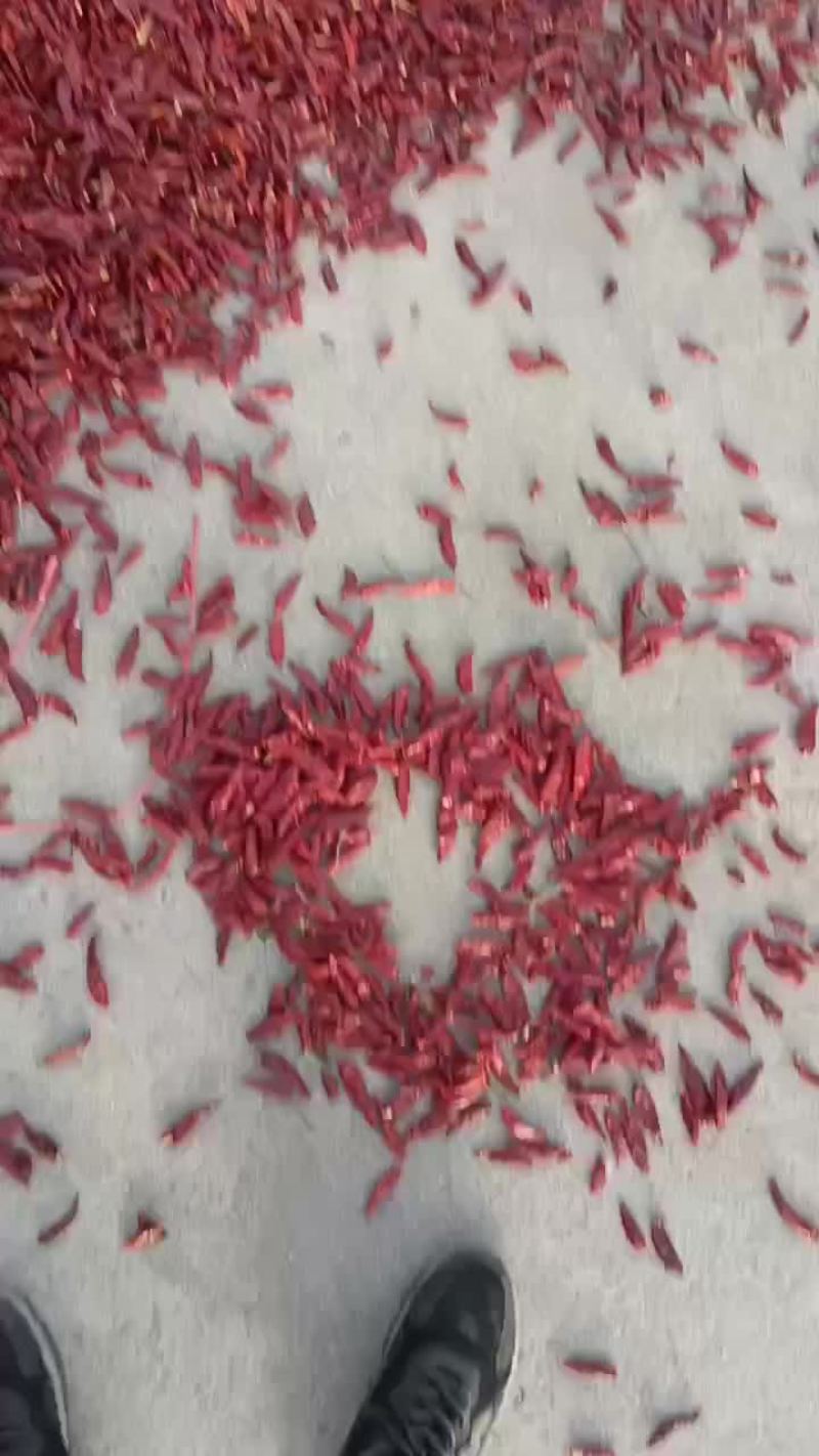 精品，三樱椒