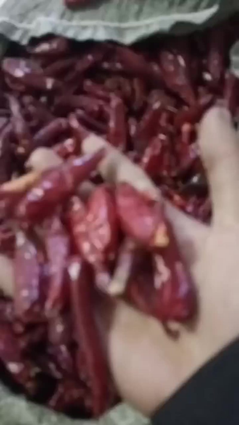 精品，三樱椒