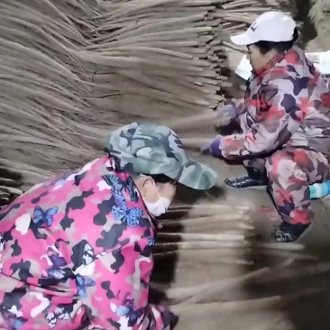 灵宝铁棍山药，各种货色都有，以质论价，物美价廉。