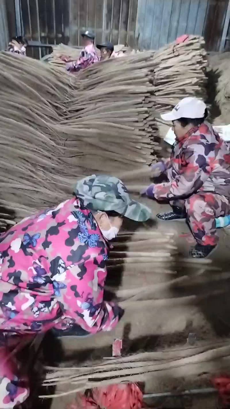 灵宝铁棍山药，各种货色都有，以质论价，物美价廉。