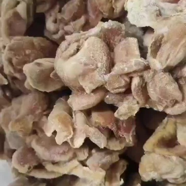 三黄鸡鸡胗
