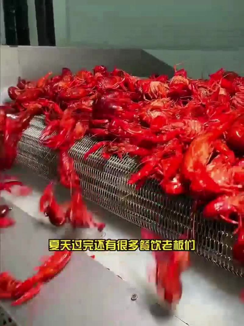 3斤鲜活锁鲜小龙虾27元，包邮到家，清水湛江龙虾尾球特级