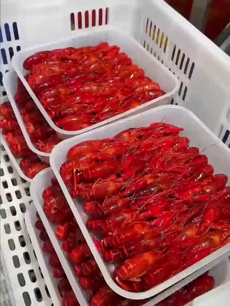 3斤鲜活锁鲜小龙虾27元，包邮到家，清水湛江龙虾尾球特级