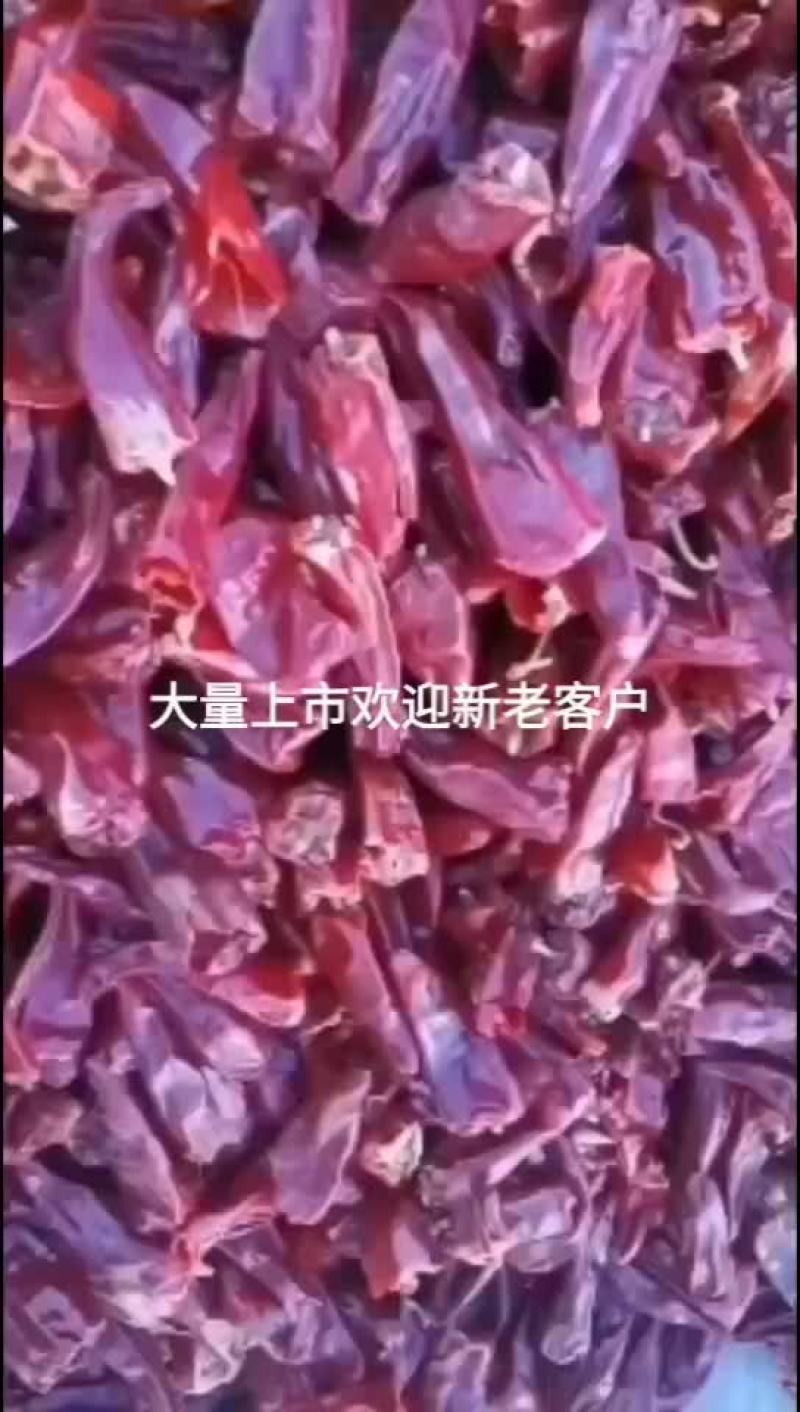 干辣椒大量有货保好