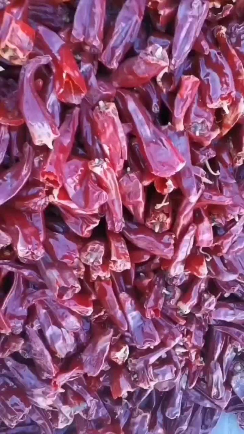 干辣椒大量有货保好