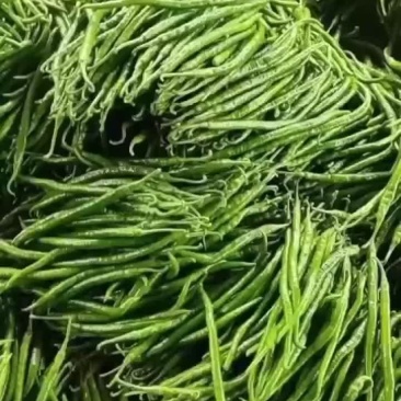 线椒