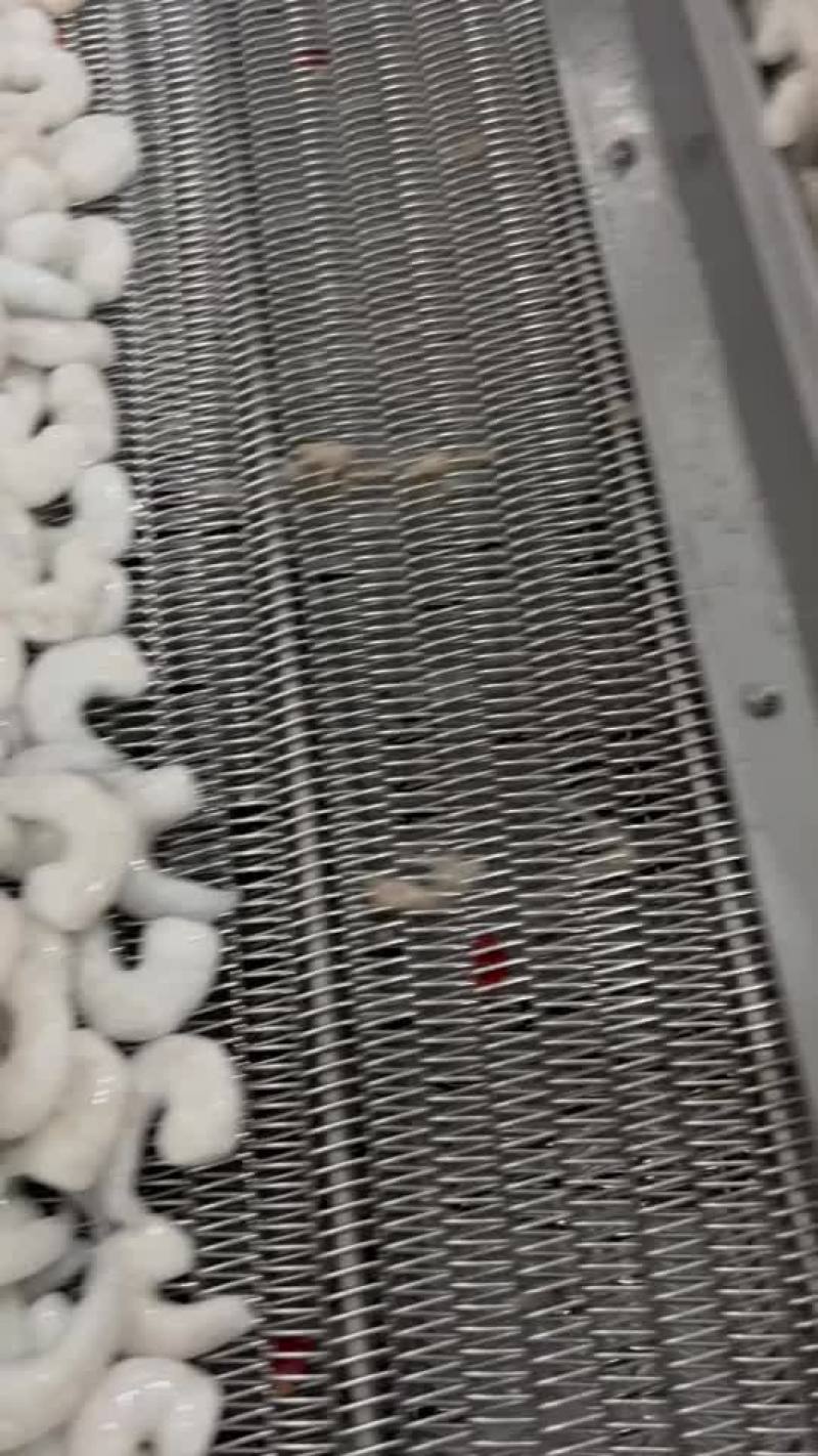 质量嘎嘎好的虾仁出货中