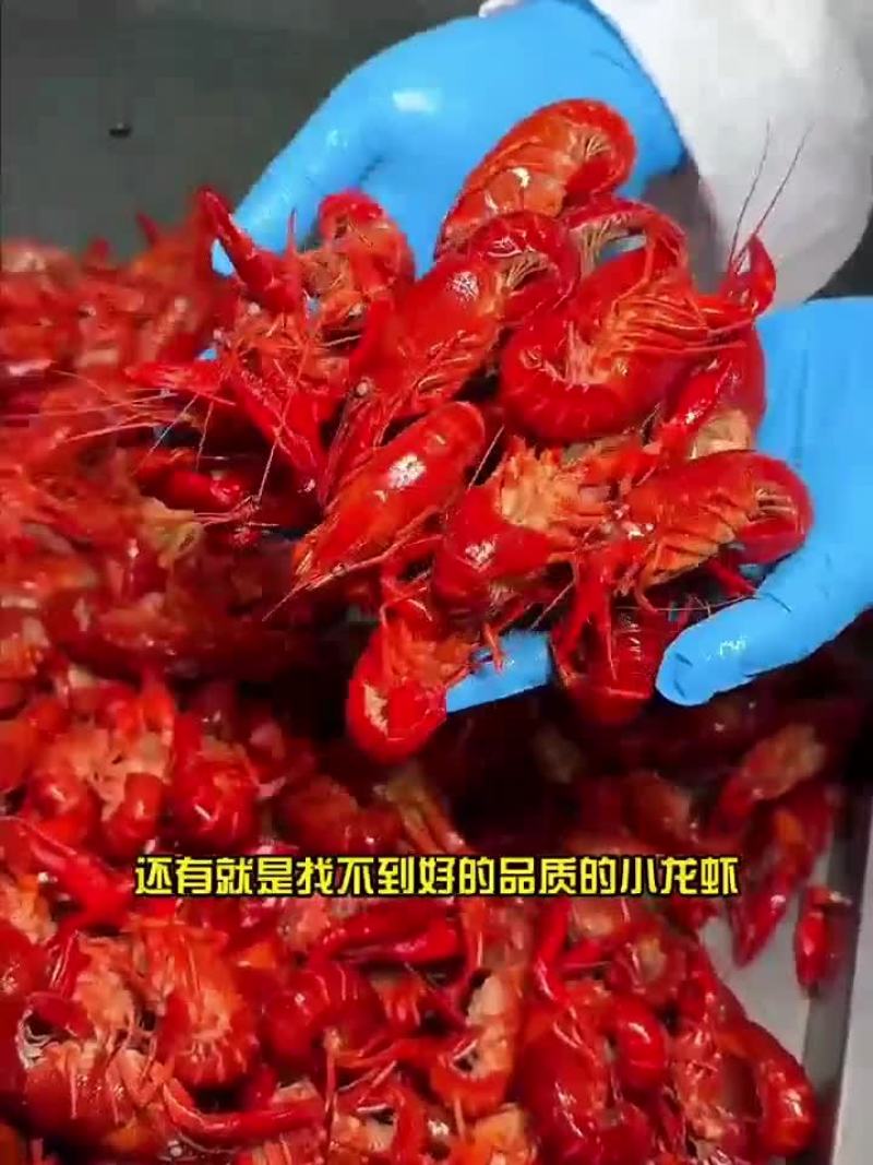 3斤鲜活锁鲜小龙虾27元，包邮到家，清水湛江龙虾尾球特级