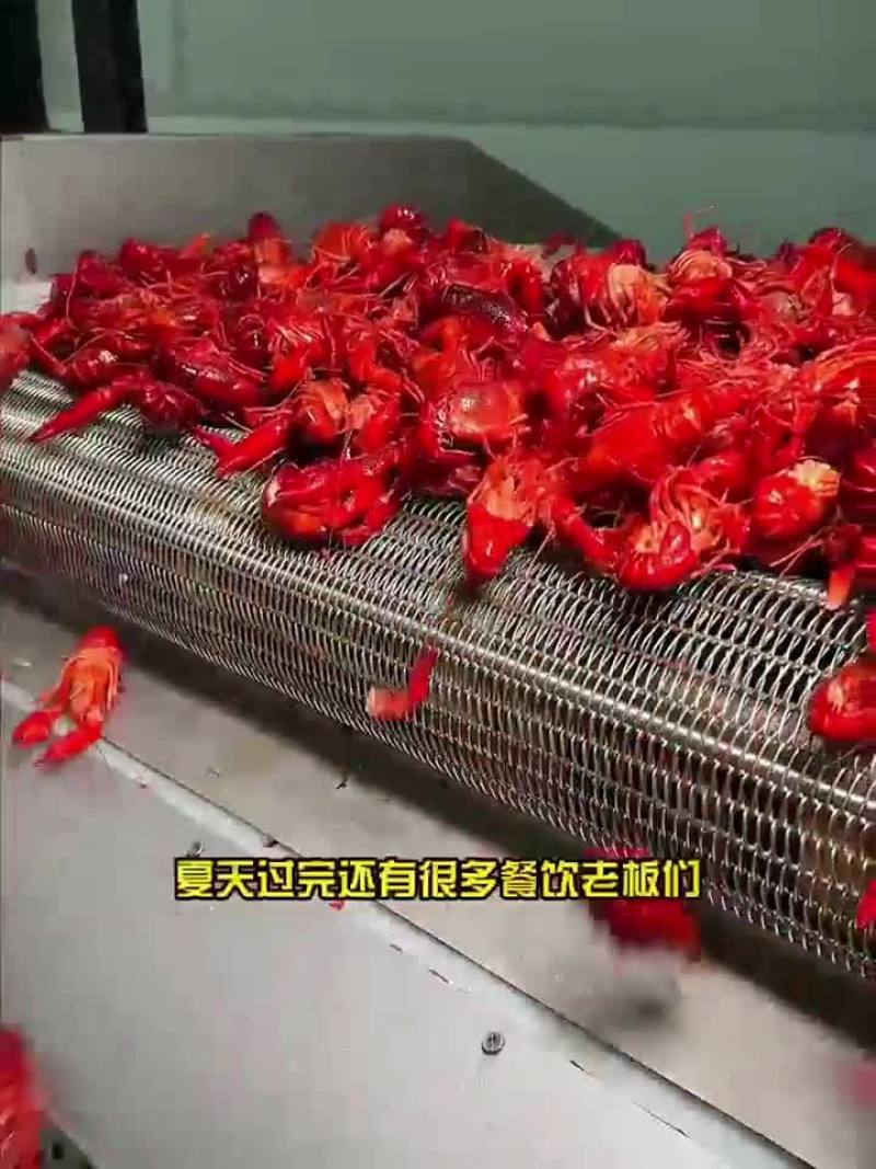 3斤鲜活锁鲜小龙虾27元，包邮到家，清水湛江龙虾尾球特级
