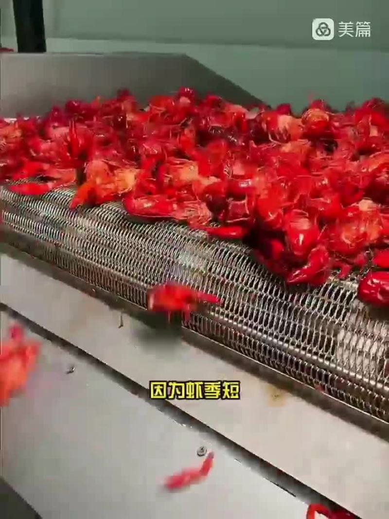 3斤鲜活锁鲜小龙虾27元，包邮到家，清水湛江龙虾尾球特级