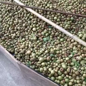 山茶油