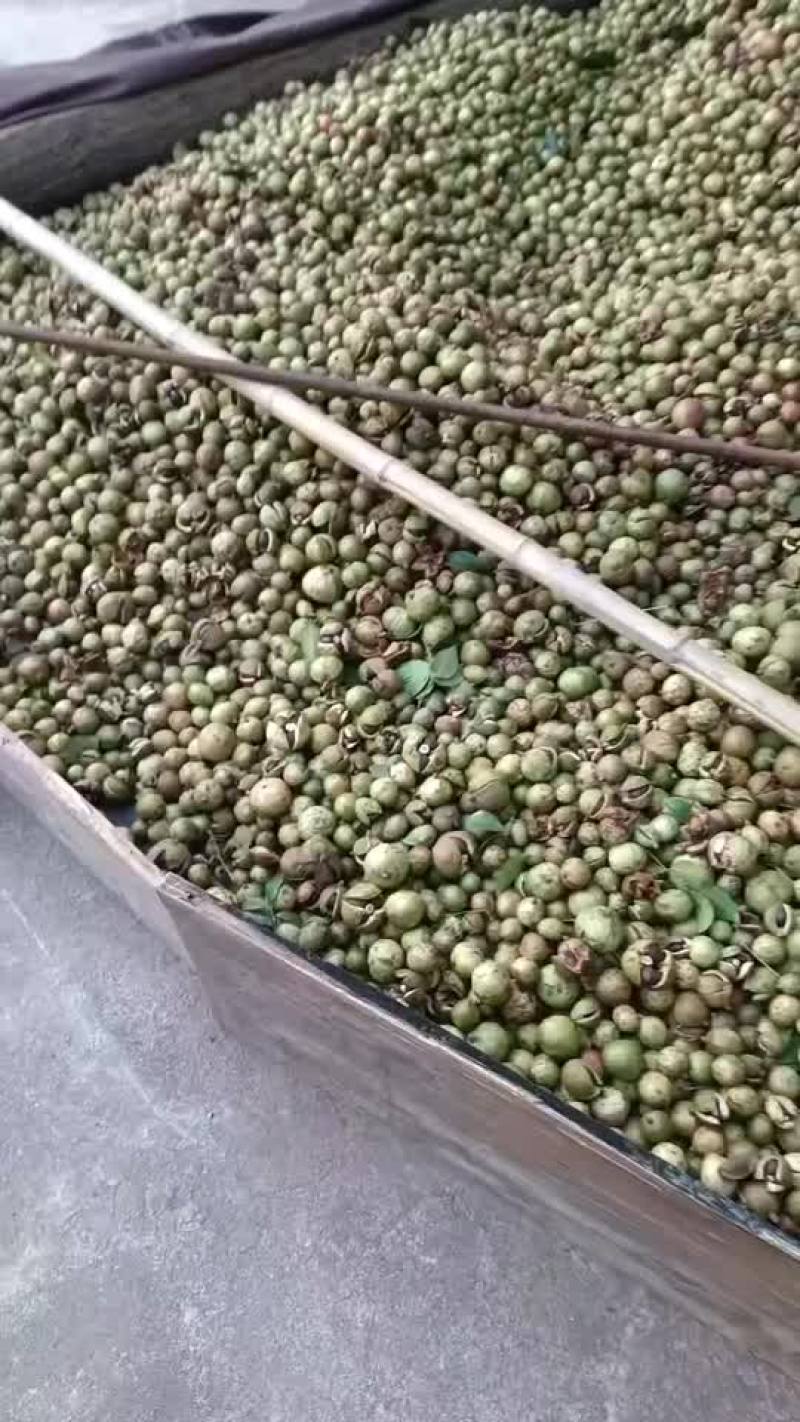山茶油
