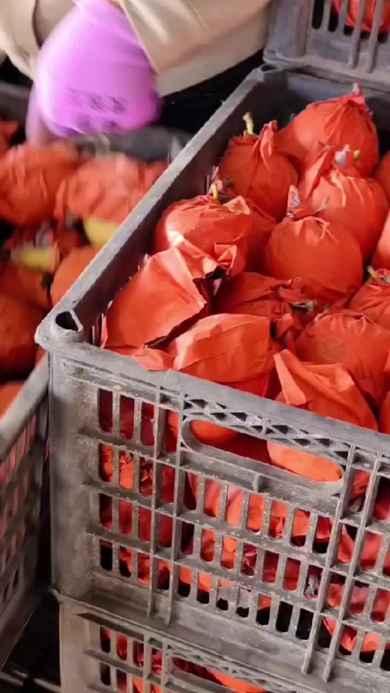 皇冠梨