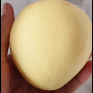 皇冠梨