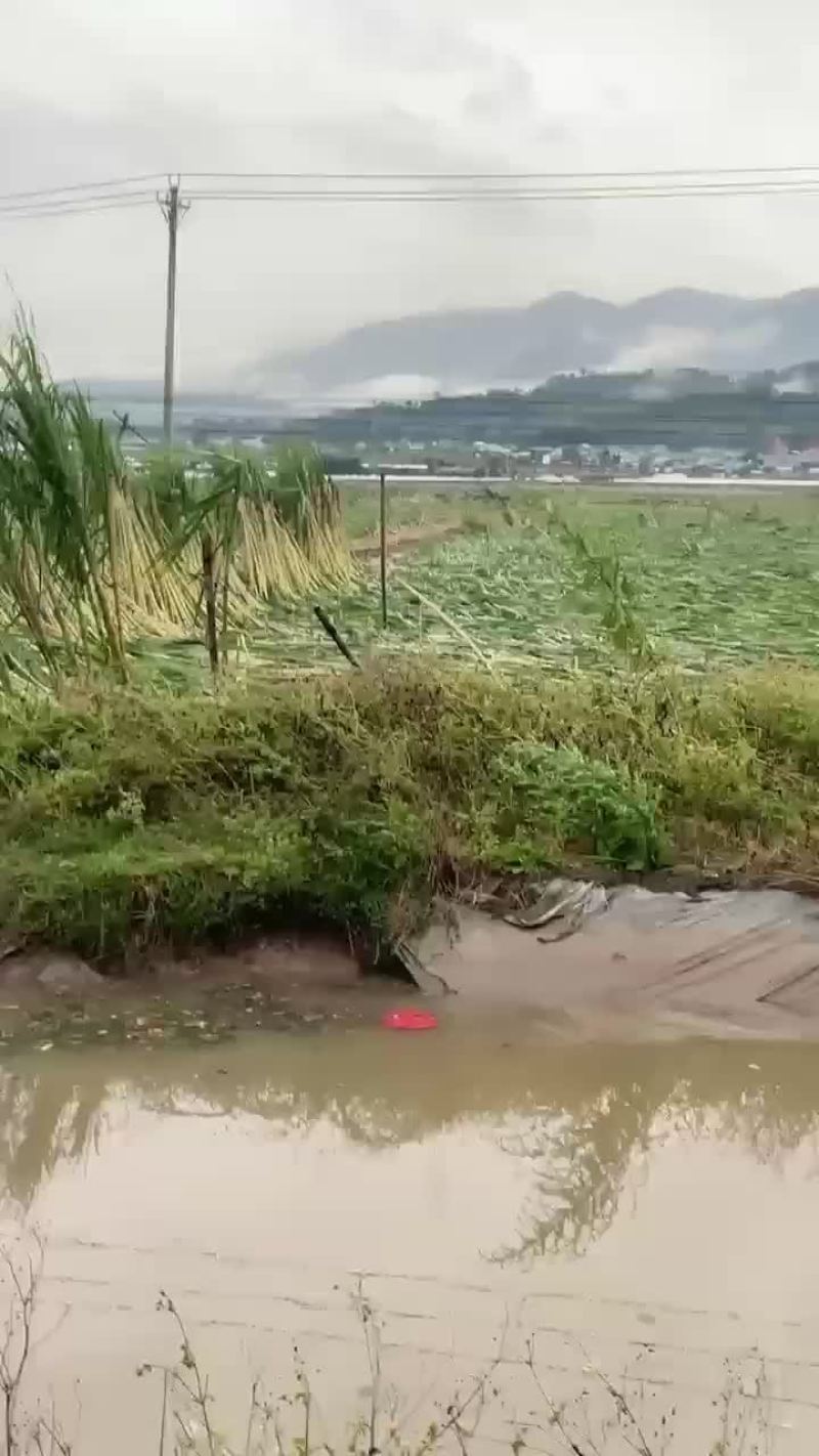 倒地甘蔗欢迎大家加入对接