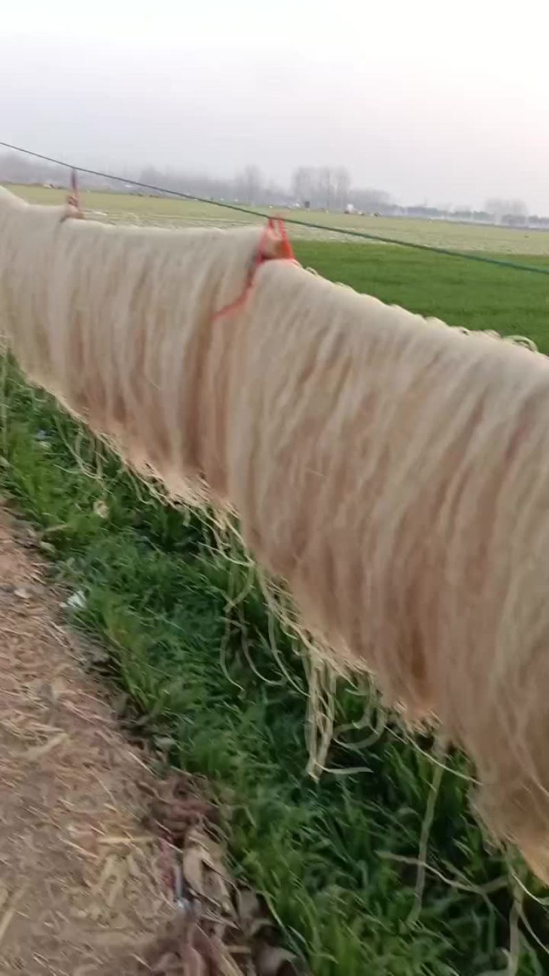 粉条